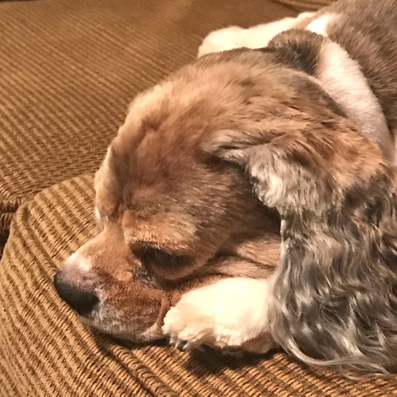 Meet your Posher, Jenna - Picture 1 of 1